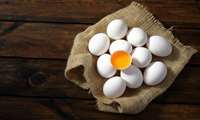 تخم مرغ ، تامین کننده سلامتی وشادی