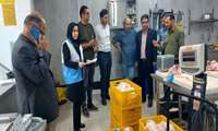 گشت مشترک نظارتی و تشدید بازرسی مراکز عرضه مواد غذایی در 17 خرداد ماه 1405