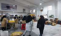 نظارت ویژه شبکه بهداشت و درمان پاکدشت بر تولیدکنندگان بستنی در شهرستان  با آغاز فصل گرما 