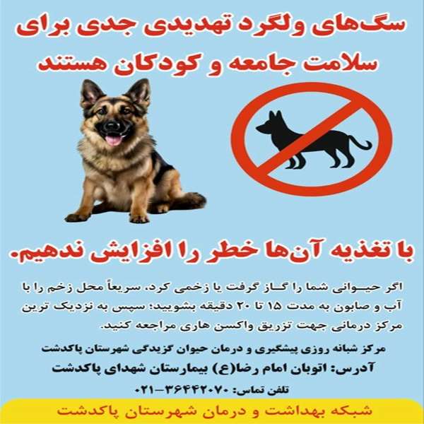 بیماری هاری