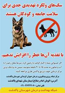 بیماری هاری