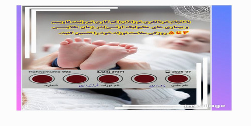 فاویسم